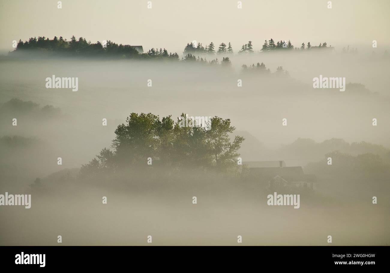 Fog bedeckt die Häuser und das Dorf French River, Prince Edward Island, Kanada. Stockfoto