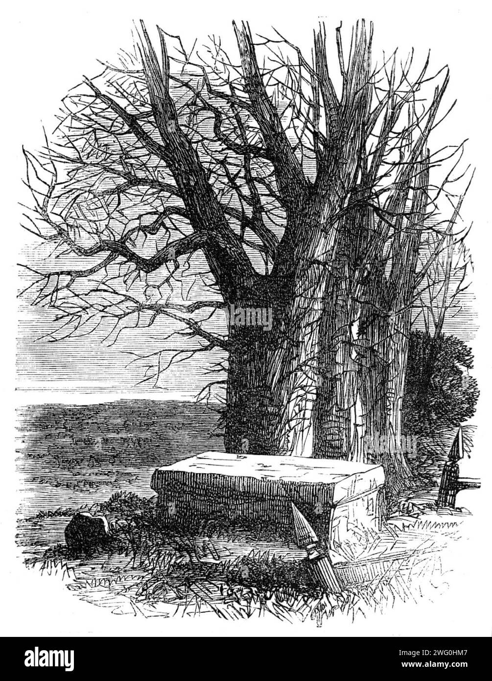 Byrons "Grab" in Harrow, 1862. Der Dichter Byron verbrachte viele Jugendstunden auf dem Kirchhof von St Mary's, Harrow on the Hill, während er Schüler der nahegelegenen Harrow School war. Jahre später, nach dem Tod seiner fünfjährigen Tochter Allegra, wünschte er sich, hier einen Stein zu ihrem Gedenken aufstellen zu lassen. "Da ist", schrieb er im Mai 1822, "ein Platz im Kirchenhof, in der Nähe des Fußwegs, auf der Stirn des Hügels, der nach Windsor blickt, und ein Grab unter einem großen Baum (mit dem Namen Peachie oder Peachey), wo ich stundenlang als Junge saß. Das war mein Lieblingsplatz. Aber der Rektor von Egge, der Stockfoto