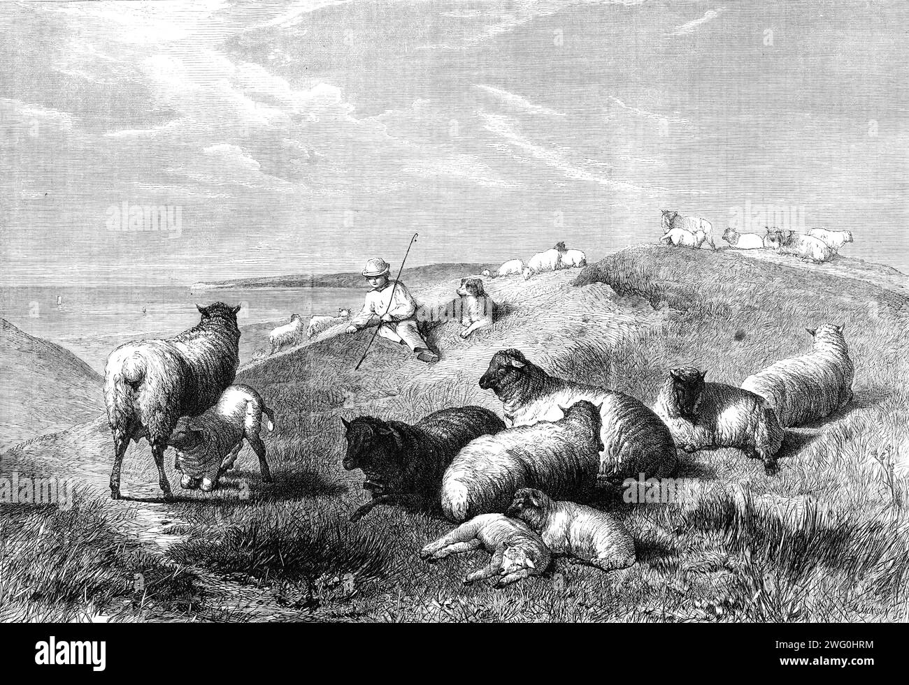 The Blessings of a Shepherd's Life von H. B. Willis, in der Gallery of the British Institution, 1862. Gravur eines Gemäldes. Aus Illustrated London News, 1862. Stockfoto