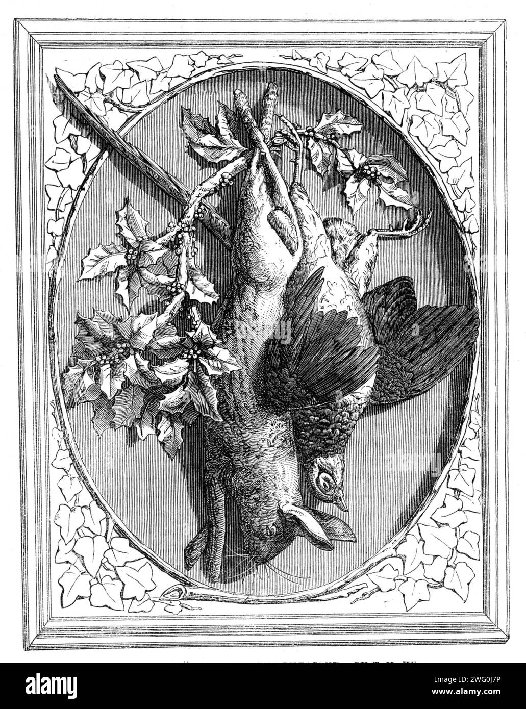 The International Exhibition: Carving in Wood, „The Hase and Fasan“, von T. H. Kendall, 1862. Der Hase und der Fasan, den wir hier darstellen, bilden eine Stilllebensgruppe... es ist von Mr. T. H. Kendall aus Warwick. Als ein Werk der nachahmenden Schnitzerei ist es sehr schön, das Gefieder des Vogels wird mit großer Zartheit und Wahrheit gegeben, und der runde Charakter, der in Federgruppen und in Einzelfedern vorkommt, ist gut empfunden und gemacht. Die Handlung, oder besser gesagt der Handlungswille im Spiel, die aus Passivität oder Tod resultiert, steht im Kontrast zu der Starrheit und dem Leben von Stockfoto