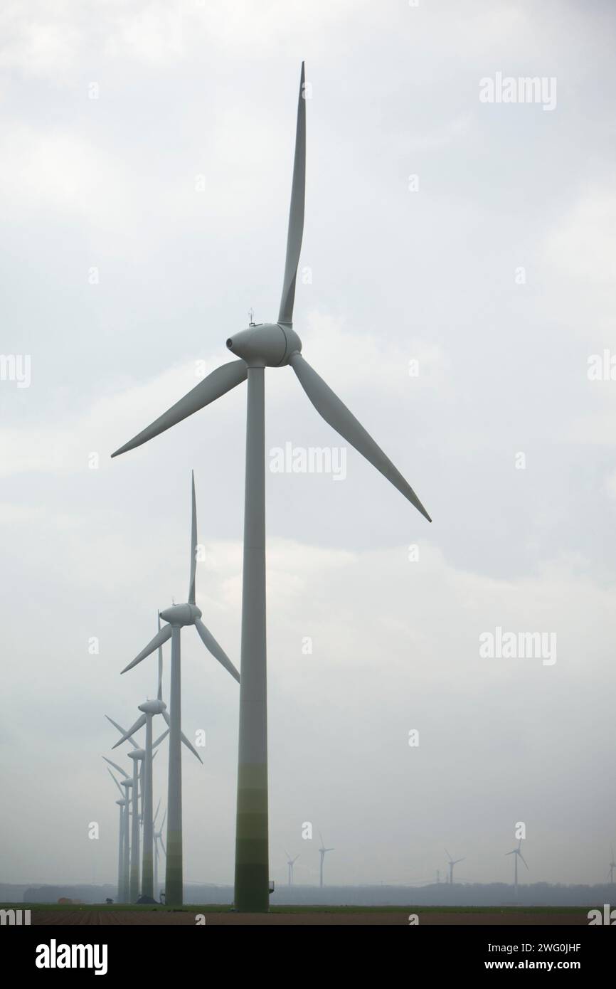 Eine Reihe von Windturbinen in Flevoland, Niederlande. Stockfoto