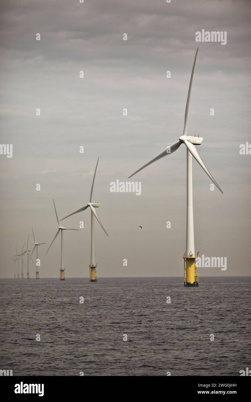 Windturbinen im Offshore-Windpark in Egmond aan Zee in den Niederlanden. Stockfoto