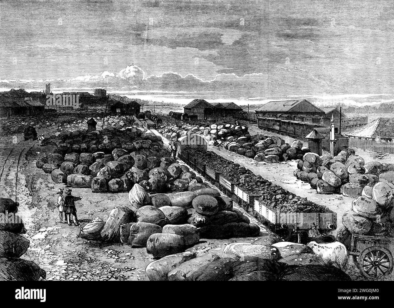Baumwollballen, die an der Endstation der Great Indian Peninsular Railway in Bombay liegen und 1862 nach England versandt werden können. Gravur aus einem Foto von M'Combie und Wright. "Die Frage wurde ängstlich gestellt, als uns der amerikanische Krieg überraschte. "können unsere Kolonien - kann Indien - den Mangel an Baumwolle ausgleichen, der durch dieses unzumutbare Ereignis aufgehalten wurde?"...it scheint, dass die Provinzen, die von der Eisenbahn bedient werden, einige Anstrengungen unternommen haben, um Amerikas äußerste Grenze zu ihrer Chance zu machen, das Angebot an Baumwolle zu erhöhen... den Zuschauer aus irgendeiner Höhe der Boden würde zuerst nichts sehen, aber p Stockfoto