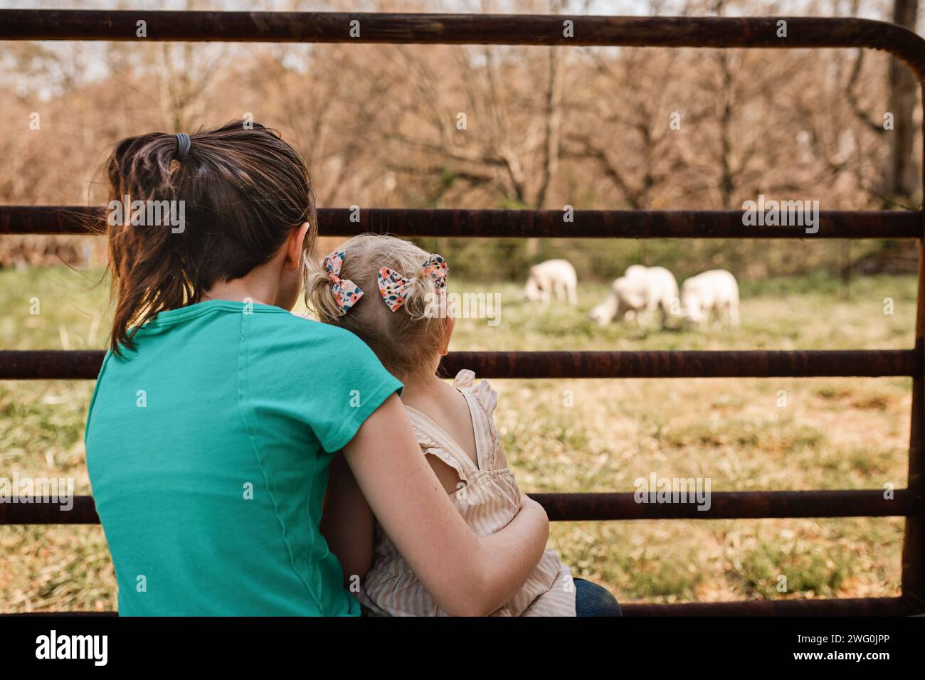 Junge Mädchen, die zusammen sitzen und Schafe auf dem Bauernhof grasen sehen Stockfoto