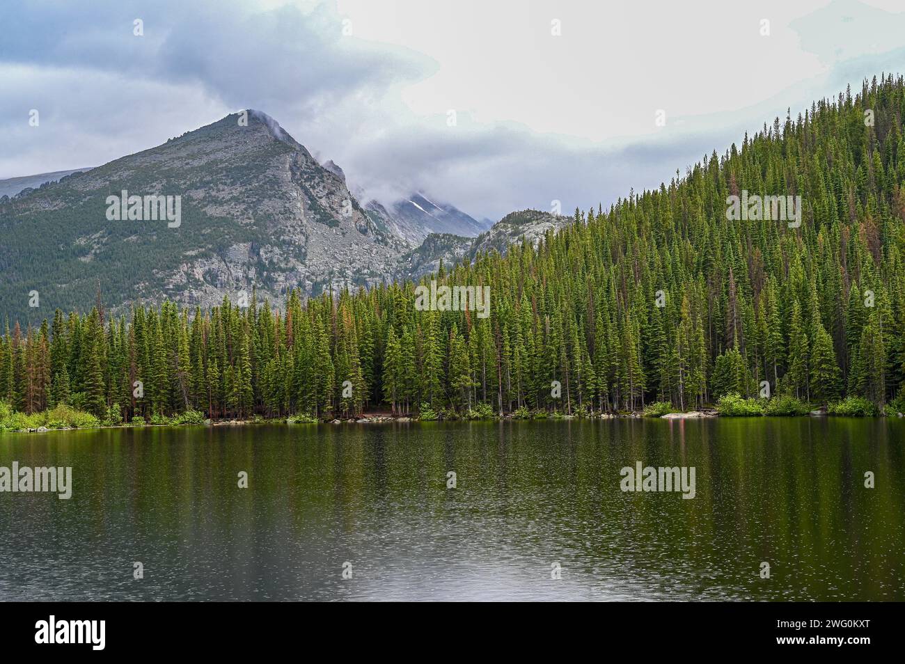 Der Seeblick auf die Berge im Olympic National Park Stockfoto