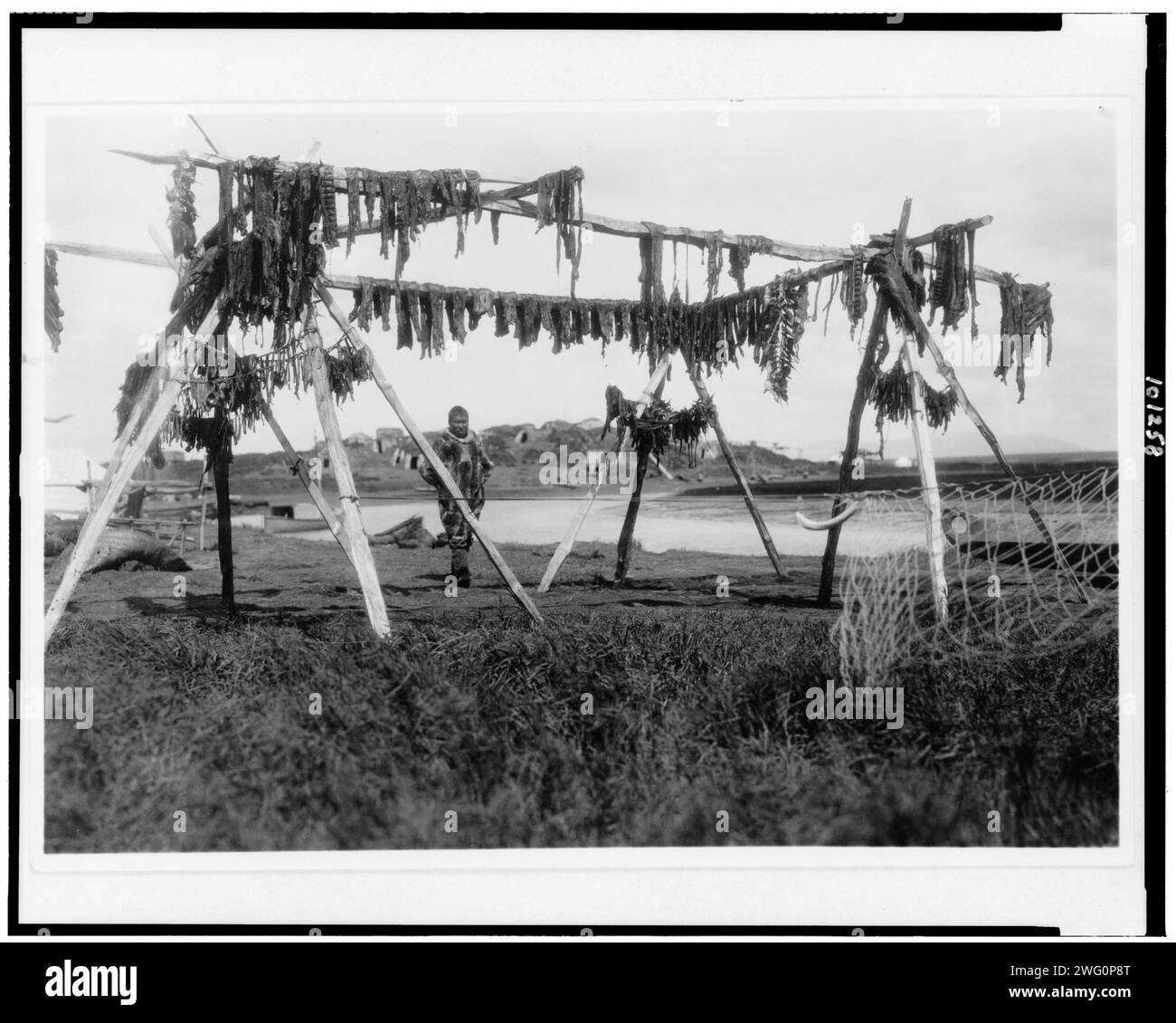 Trocknung von Whale Meat-Hooper Bay, 1929. Eskimo mit Walfleisch auf Stangen, Hooper Bay, Alaska. Stockfoto