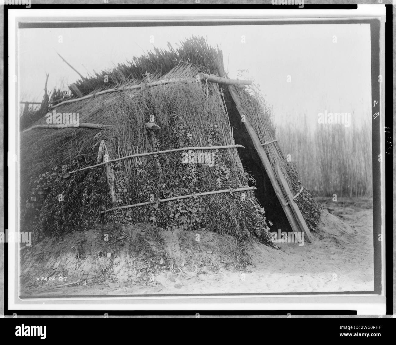 Chemehuevi-Haus, 1924. Strohdach gebaut auf verhülltem Schmutz. Stockfoto