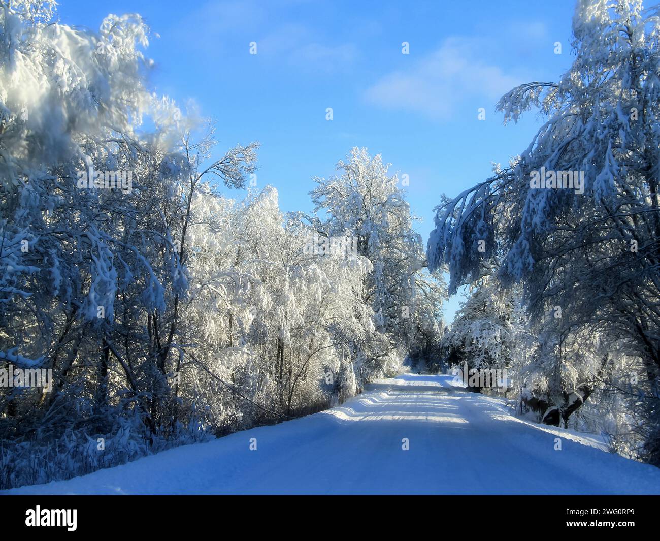 Straße bedeckt mit weißem Schnee mit heißfrostigen Bäumen Stockfoto