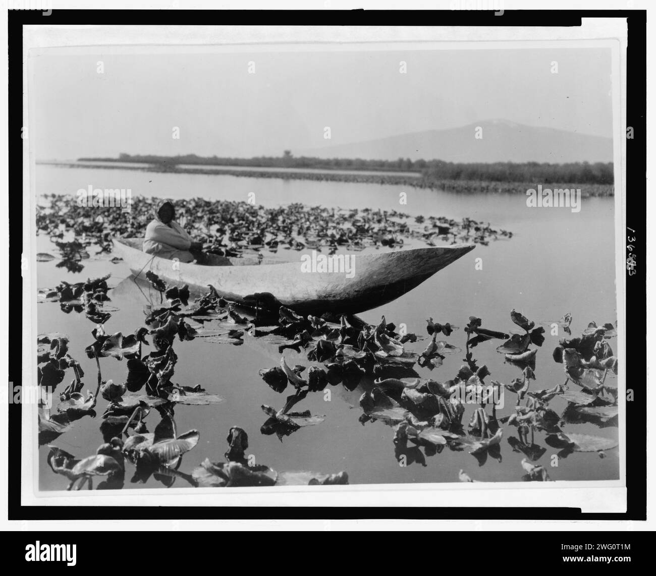 Die Wokas-Saison-Klamath, 1923. Das Foto zeigt eine Klamath-Frau in einem Kanu, die auf einem Feld von Wokas oder großen gelben Seerosen (nymphaea polysepala) ruht, die als Nahrung verwendet werden, wahrscheinlich im Klamath-Becken in Oregon. Stockfoto