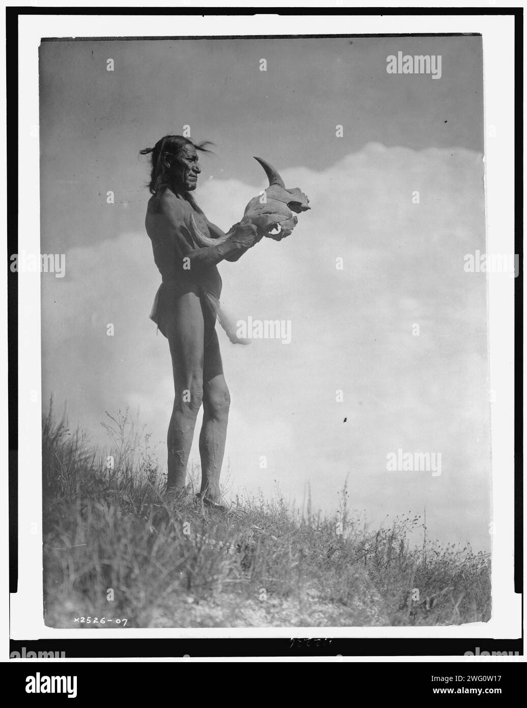 Steckbolzen, c1907. Porträt des Dakota-Mannes in Lende, der Büffelschädel hält. Stockfoto