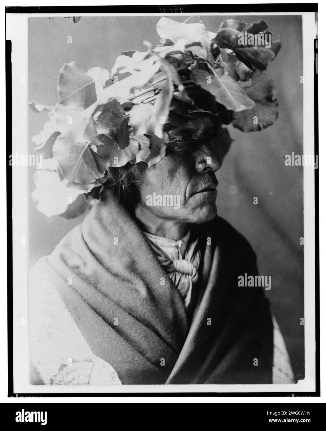 Stachelschwein-Cheyenne, 1910. Stachelschwein, ein Cheyenne-Mann, Kopf-und-Schultern-Porträt, nach rechts gerichtet, trägt einen Kranz aus Baumwollholzblättern auf dem Kopf, möglicherweise um seinen Kopf während eines Sonnentanzes vor der Sonne zu schützen. Stockfoto