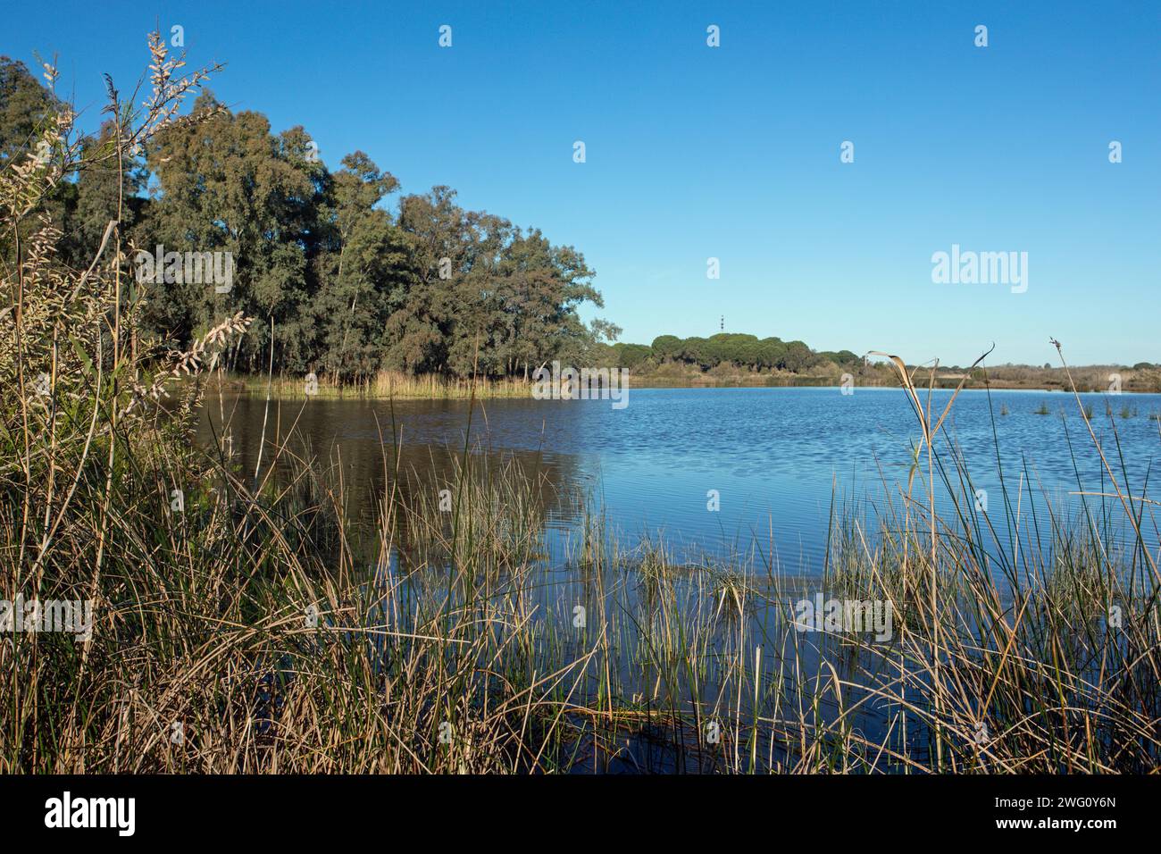 Coto Donana in El Roccio Stockfoto