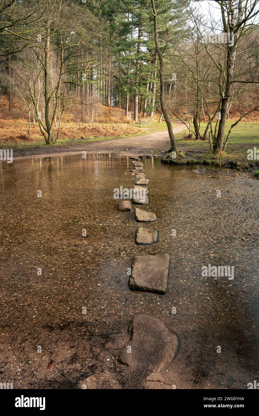 Die Stepping Stones, auch bekannt als die Hangmans Stones im Sherbrook Valley, Cannock Chase, Staffordshire, Großbritannien im Winter. Stockfoto