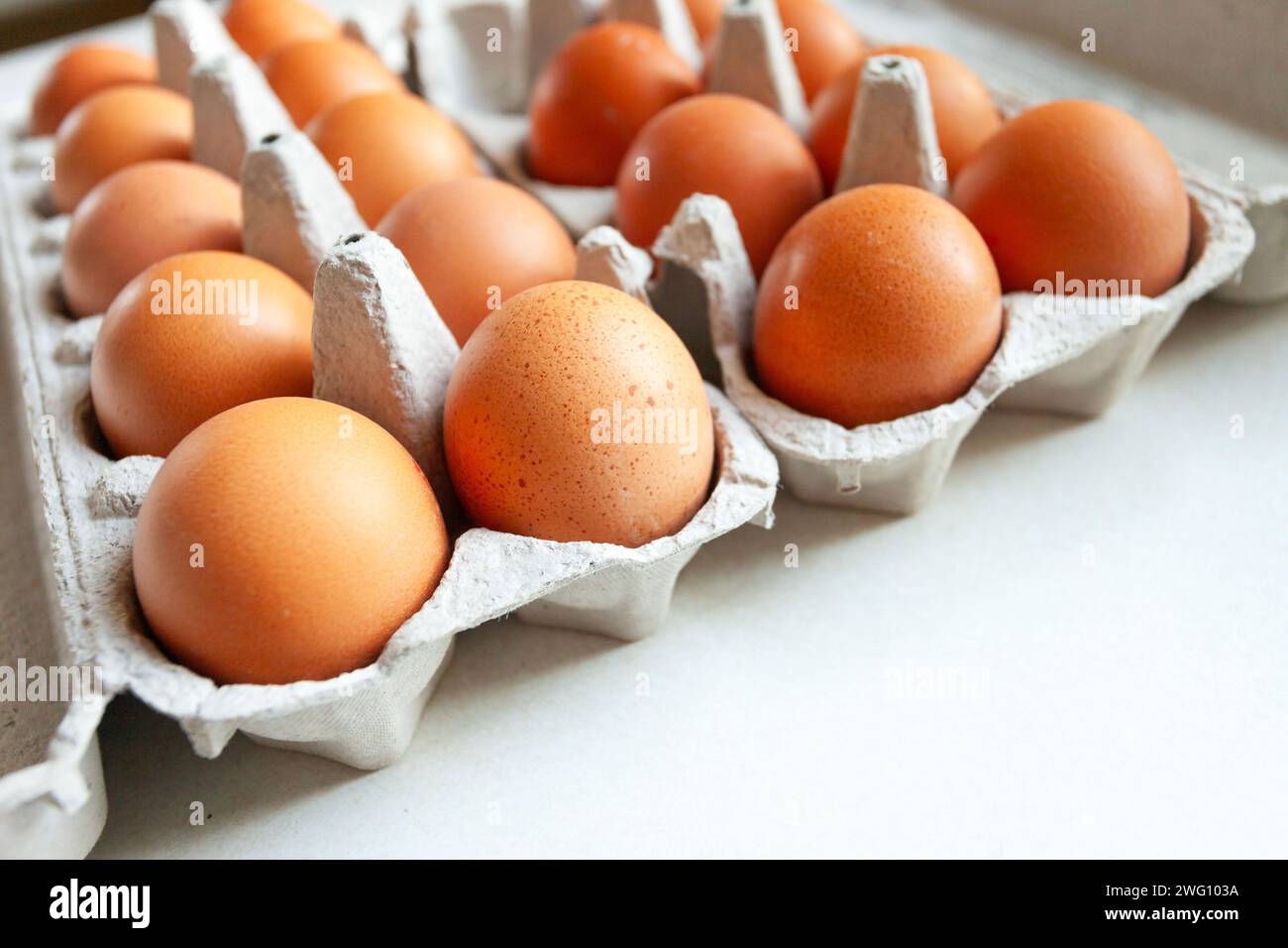 Viele Eier aus dem Laden in einem Karton-Behälter Stockfoto
