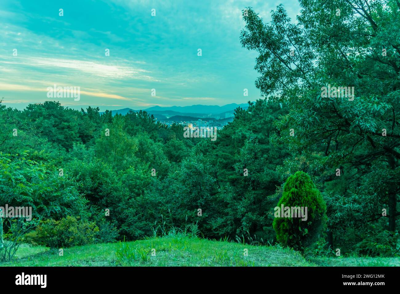 Landschaft mit bewaldeten Berggipfeln mit Stadtlichtern im Hintergrund unter einem sanften blauen Himmel Stockfoto