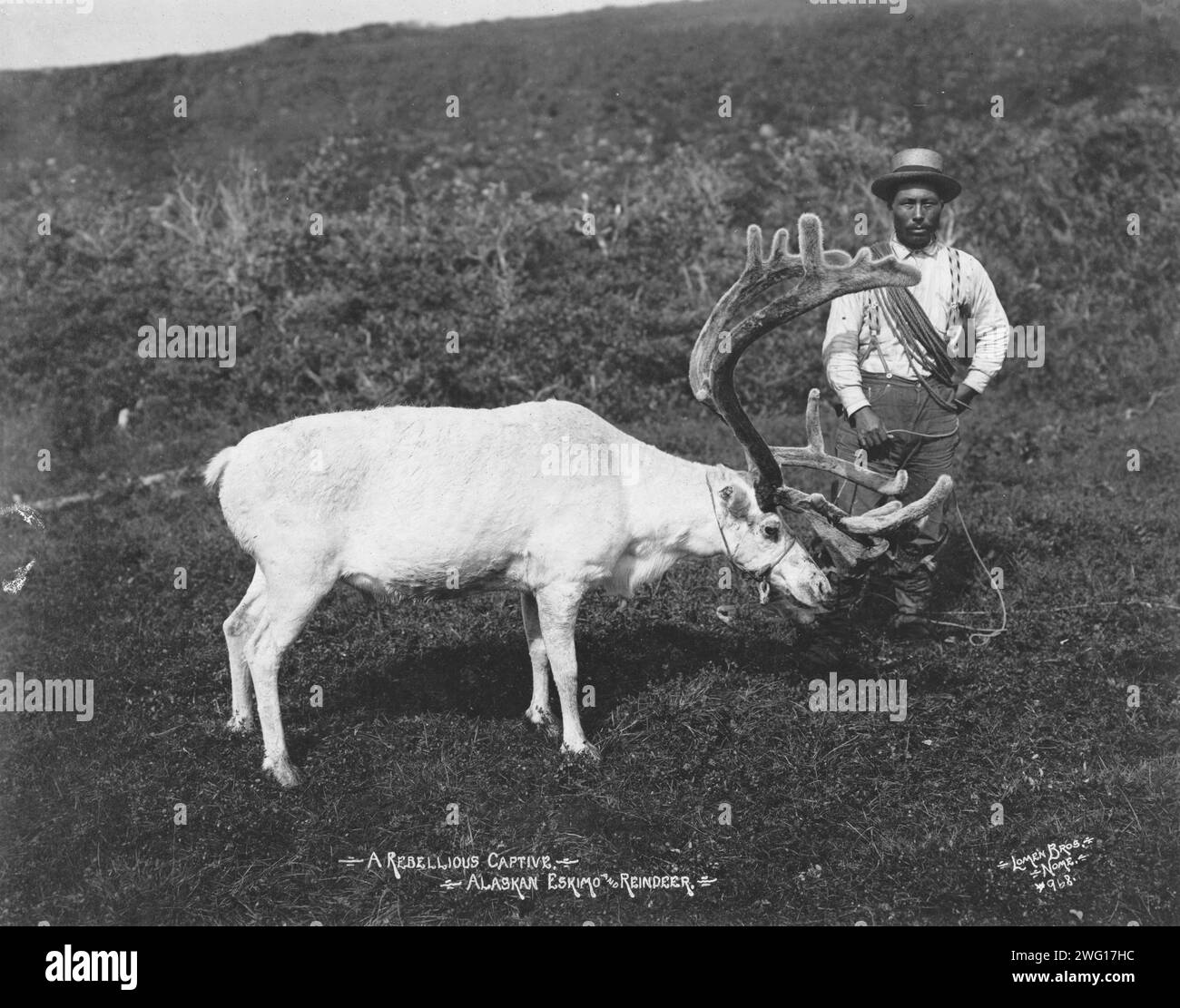 Totes Rentier Rentier menschen Schwarzweiß-Stockfotos und -bilder - Seite 2 - Alamy