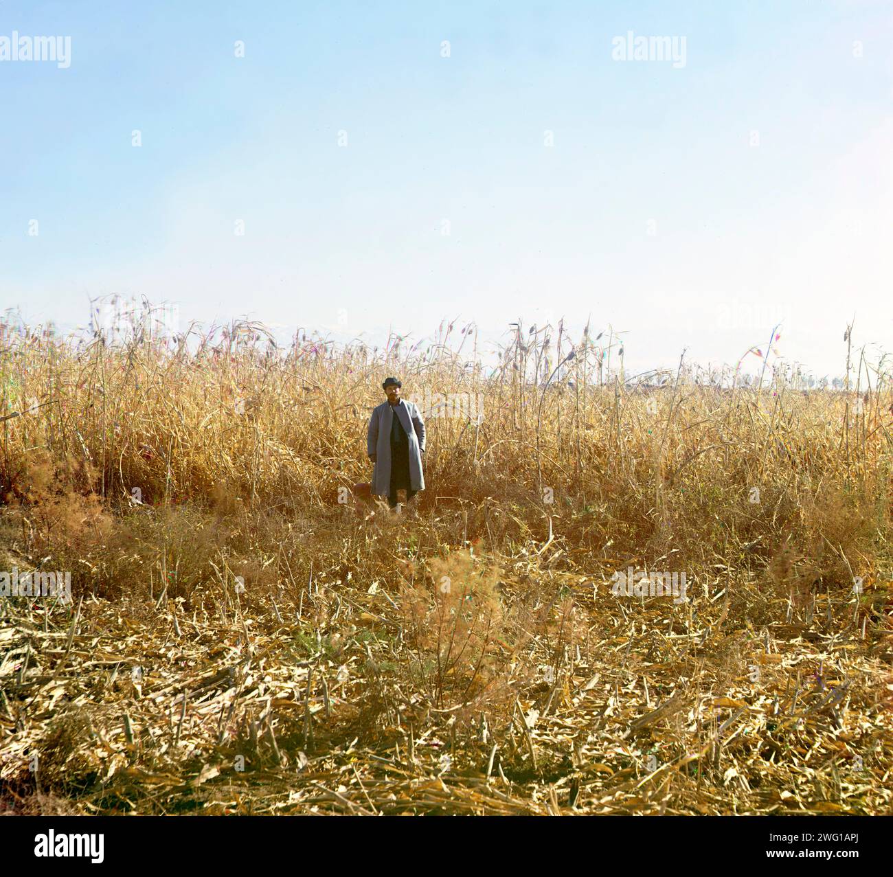 Dzhugara, Golodnaia (oder Golodnaya) Steppe, zwischen 1905 und 1915. Mann, der auf dem Feld steht, posiert, mit Ernten. Der russische Chemiker und Fotograf Sergej Prokudin-Gorsky (1863–1944) war ein Pionier der Farbfotografie, mit der er Russland und ihr Reich des frühen 20. Jahrhunderts dokumentierte, einschließlich der verschwindenden Lebensweise der Stammesvölker entlang der Seidenstraße in Zentralasien. In einer von Zar Nikolaus II. Zur Verfügung gestellten Dunkelkammer der Eisenbahnwaggons verwendete Prokudin-Gorski das dreifarbige Fotoverfahren, um traditionelle Trachten und Berufe, Kirchen und Moscheen - viele heute UNESCO-Weltkulturerbe - aufzunehmen. Stockfoto