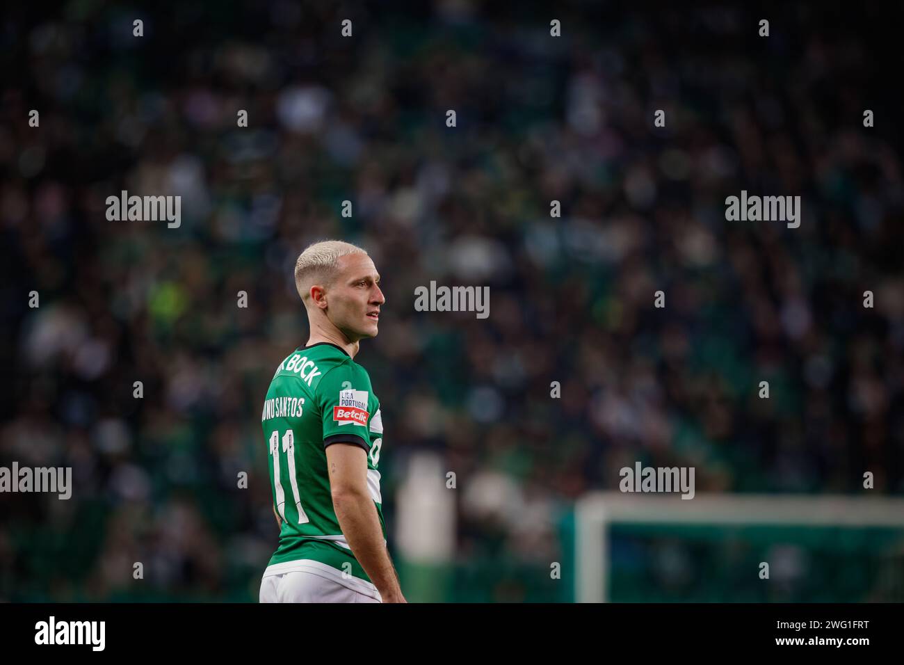 Nuno Santos während der Liga Portugal 23/24 Spiel zwischen Sporting CP und Casa Pia AC, Estadio Jose Alvalade, Lissabon, Portugal. (Maciej Rogowski) Stockfoto