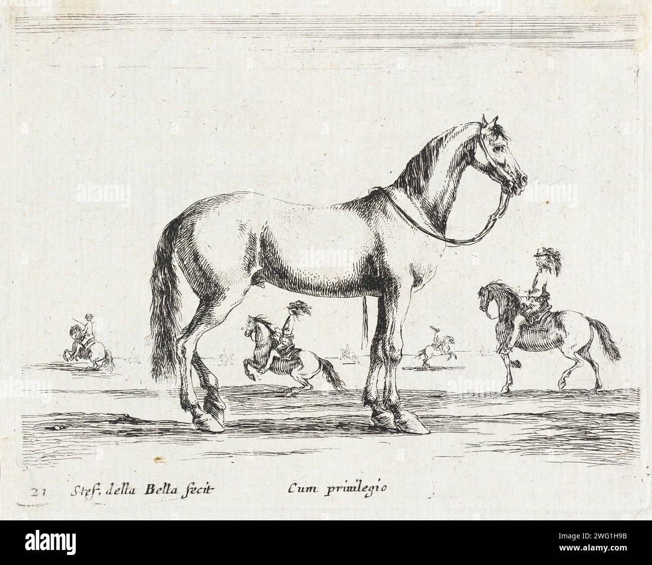 A Horse, 1641. Serie: Diversi animali, pl. 21. Stockfoto
