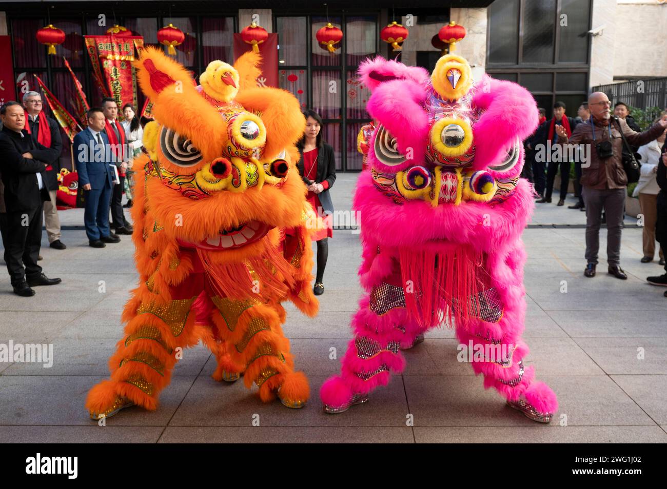 Madrid 2024: Chinesisches Neujahr zwei typische chinesische Drachenkostüme, die während der Präsentation des kulturellen Programms der Stadt Madrid zum chinesischen Neujahr, dem Jahr des Drachen, im Chinesischen Kulturzentrum in Madrid gezeigt wurden. Madrid Chinese Cultural Center Madrid Spanien Copyright: XAlbertoxGardinx AGardin 20240202 Politics Chinese New Year Madrid 004 Stockfoto