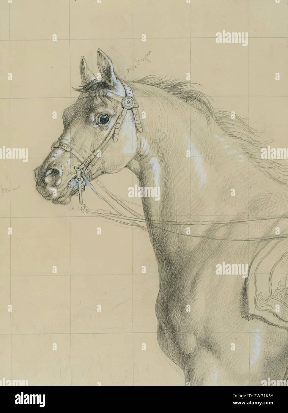 Pferdestudium für „Erzherzog Karl mit seinem Stab in der Schlacht bei Aspern“, vor 1828. Stockfoto