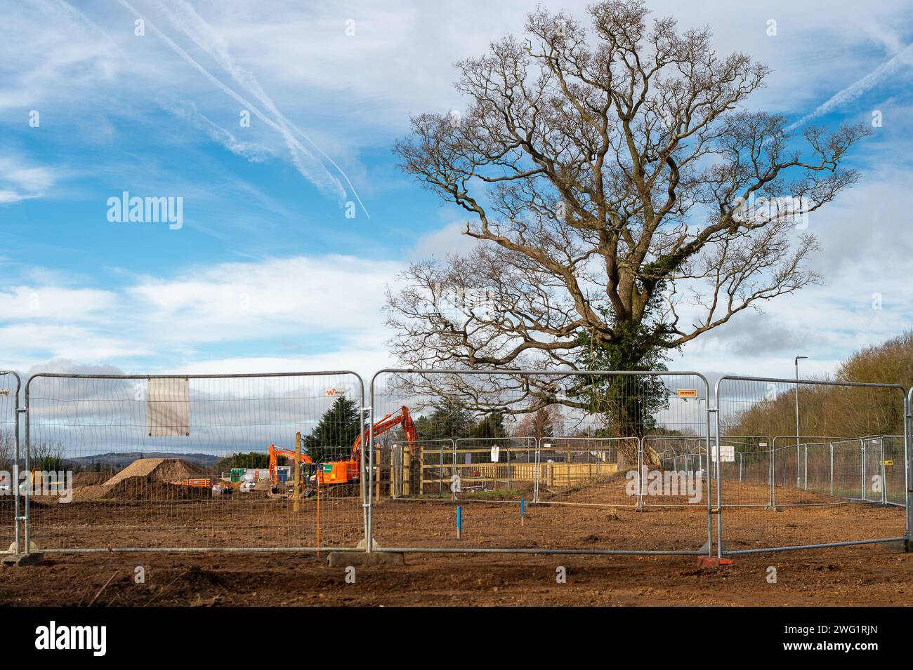 Maidenhead, Großbritannien. Februar 2024. Nachdem sie 2021 in Hackney, London, einen Woodland Trust Tree of the Year gefällt haben, stehen die Bauherren Berkeley Homes erneut im Rampenlicht. Die Einheimischen, die in der Nähe von Spring Hill in Maidenhead, Berkshire leben, sind wütend, dass Berkeley Homes zahlreiche Bäume an und um den Standort zerstört haben, an dem 199 neue Häuser gebaut werden sollen. Dies geschieht, obwohl die Bewohner angeblich von Berkeley Homes versichert wurden, dass die Bäume erhalten bleiben würden. Die Baumchirurgen Heartwood waren heute vor Ort und räumten die restlichen umgeschlagenen Bäume ab. Nur noch wenige Bäume sind an den S zu finden Stockfoto