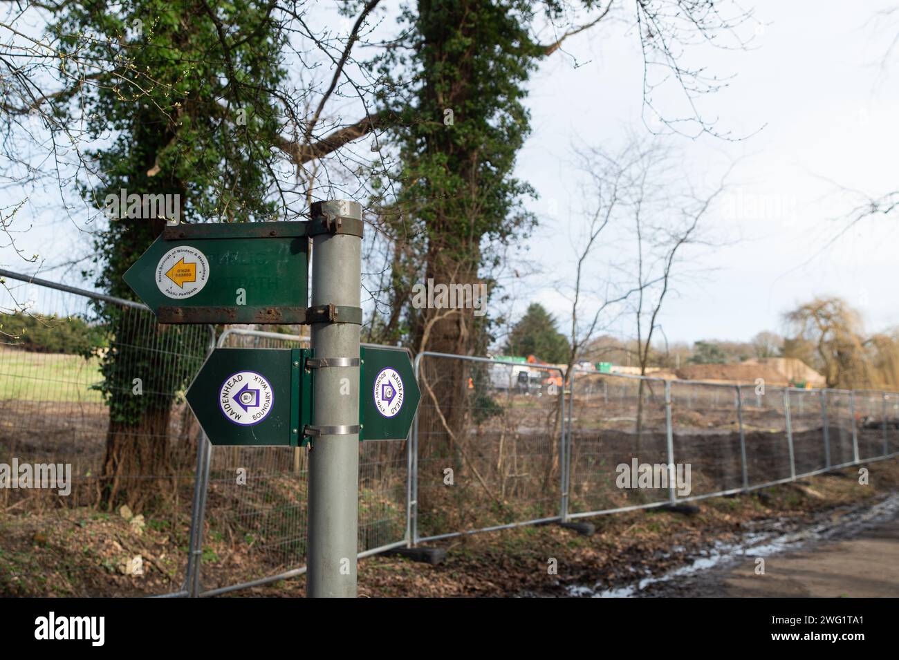 Maidenhead, Großbritannien. Februar 2024. Nachdem sie 2021 in Hackney, London, einen Woodland Trust Tree of the Year gefällt haben, stehen die Bauherren Berkeley Homes erneut im Rampenlicht. Die Einheimischen, die in der Nähe von Spring Hill in Maidenhead, Berkshire leben, sind wütend, dass Berkeley Homes zahlreiche Bäume an und um den Standort zerstört haben, an dem 199 neue Häuser gebaut werden sollen. Dies geschieht, obwohl die Bewohner angeblich von Berkeley Homes versichert wurden, dass die Bäume erhalten bleiben würden. Die Baumchirurgen Heartwood waren heute vor Ort und räumten die restlichen umgeschlagenen Bäume ab. Nur noch wenige Bäume sind an den S zu finden Stockfoto