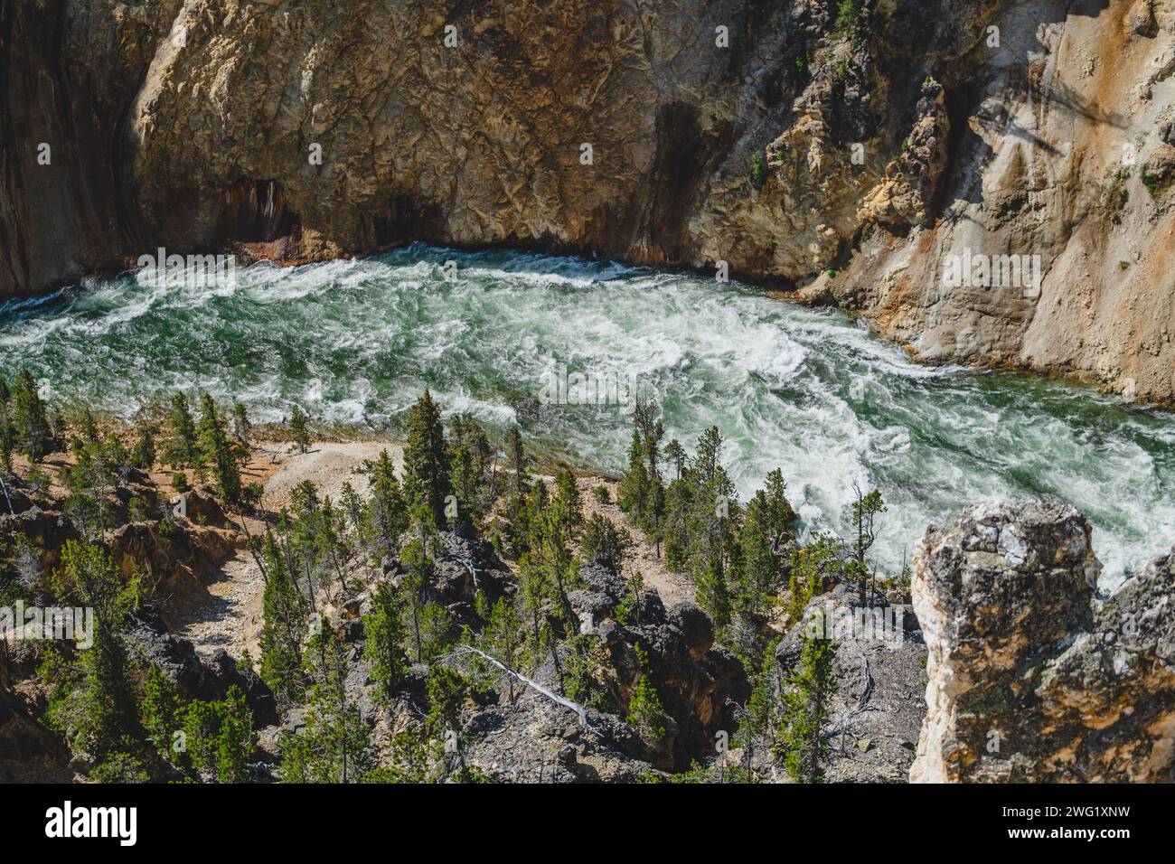 Der Yellowstone River fließt durch den Grand Canyon im Yellowstone National Park Stockfoto