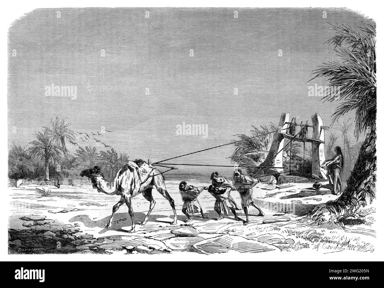 Kamel-Wasserbrunnen, oder Kamel, das Wasser aus einem Brunnen zieht, in Metlili Algerien. Vintage oder historische Gravur oder Illustration 1863 Stockfoto