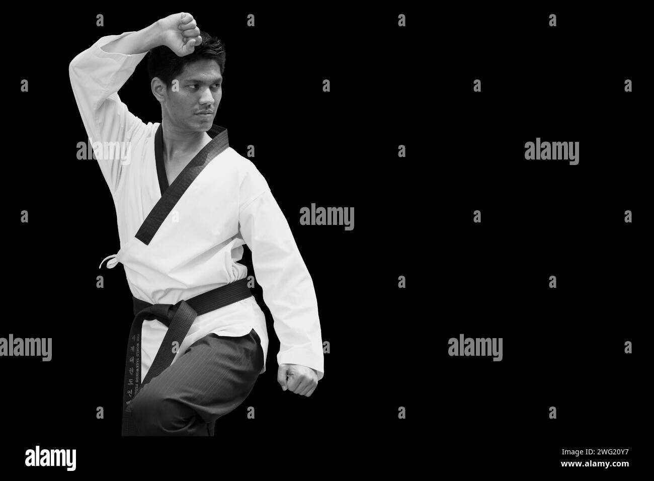 Taekwondo Master Judo Aikido oder Karate man Black Belt Action Tiger stehen für Selbstverteidigung Kampfkunst Werbung Stockfoto