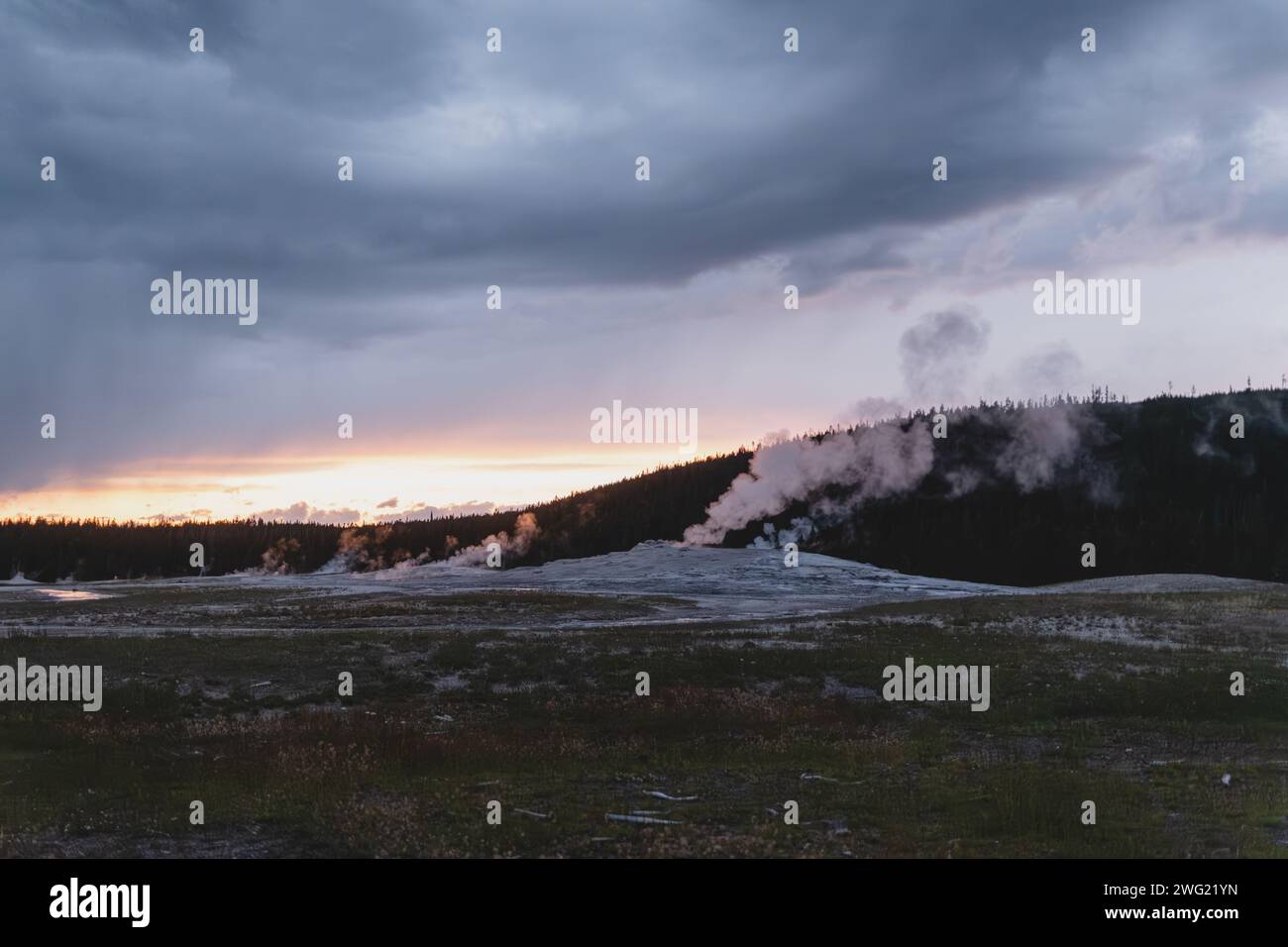 Dampf steigt aus dem Old Faithful Geysir unter einem bewölkten Himmel bei Sonnenuntergang im Yellowstone National Park auf Stockfoto