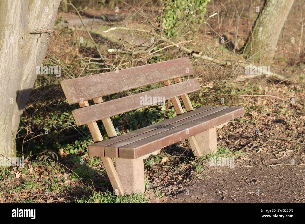 Holzbank zum Ausruhen im Wald Stockfoto