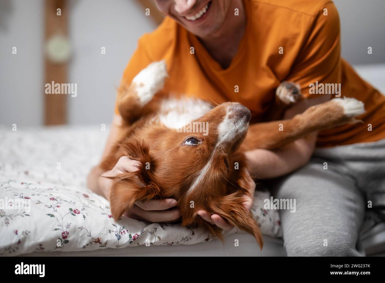 Lächelnder Mann mit Hund. Glücklicher Tierbesitzer, der mit seinem Nova Scotia Duck Tolling Retriever zu Hause spielt. Stockfoto