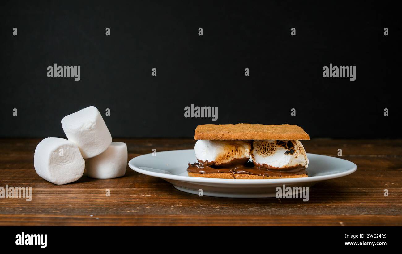 Grahams Cracker mit Marshmallows und Schokolade auf weißem Teller mit Kopierraum Stockfoto