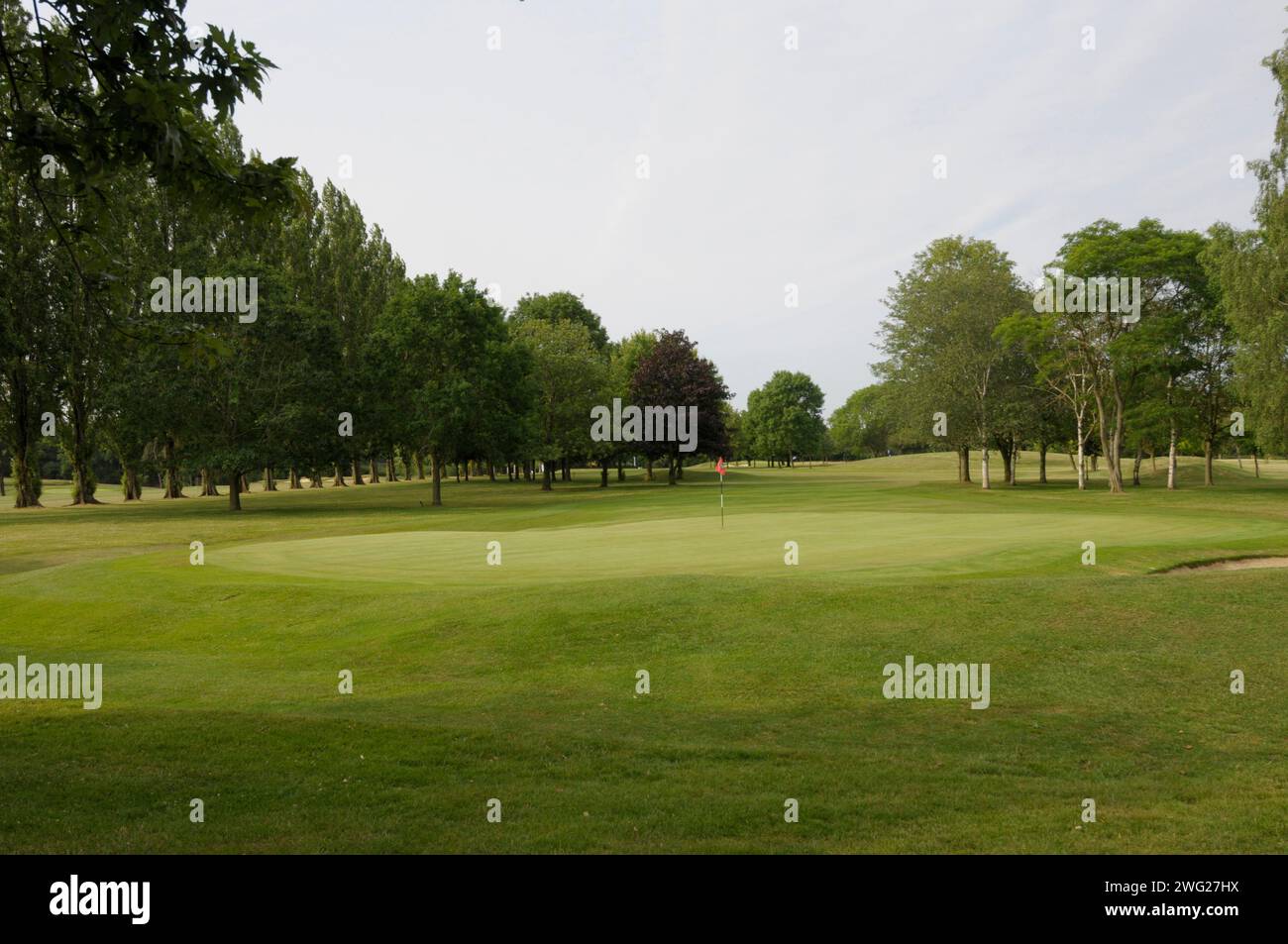 Blick zurück über das 9th Green zum Fairway, Bishop's Stortford Golf Club, Bishop's Stortford, Hertfordshire, England Stockfoto