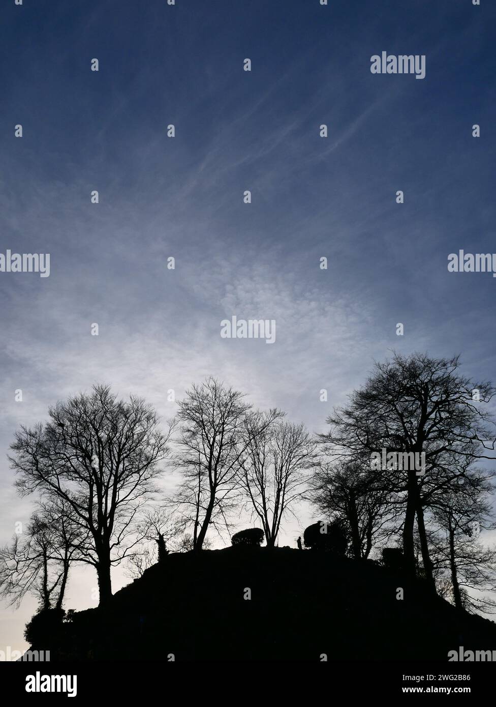 Barnstaple Castle Mound in Silhouette, Barnstaple, Devon, Großbritannien Stockfoto