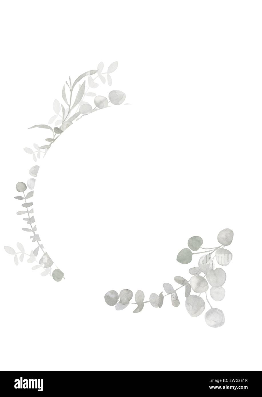 Trendiges graues und staubgrünes Aquarellbanner mit Eukalyptusrahmen. Frühling und Winter Oval botanische Grenze Illustration für Hochzeit, Grußkarte Stockfoto