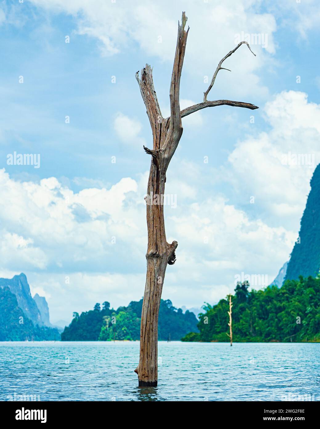 Cheow Lan Lake Khao Sok Nationalpark Thailand Stockfoto