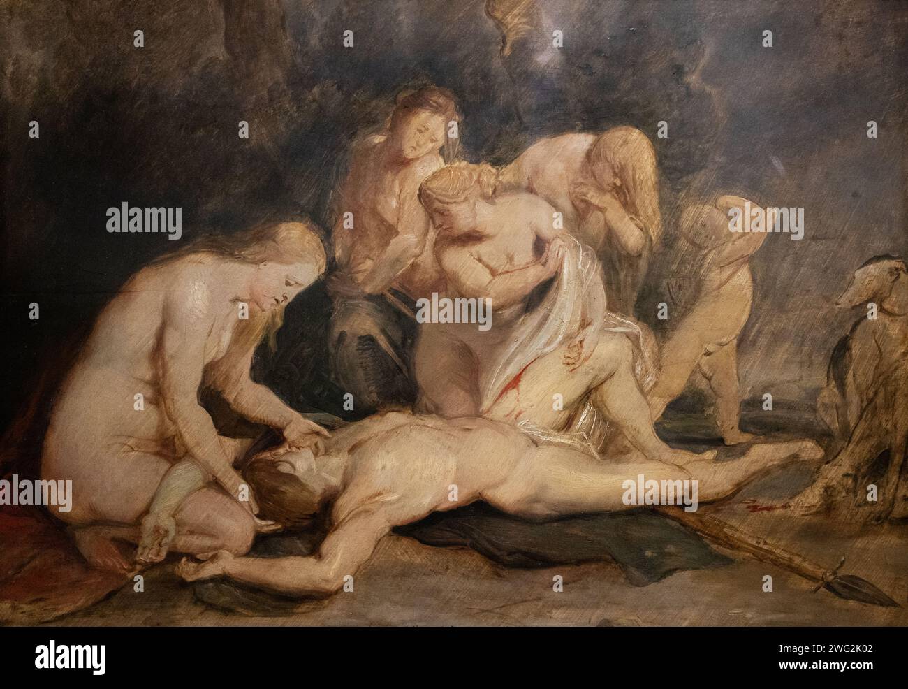 Peter Paul Rubens Gemälde, Venus Trauer Adonis, 1613-15; Öl auf Tafel, Venus Wiege Adonis, bei der Jagd verwundet. Mythologie des 17. Jahrhunderts. Stockfoto
