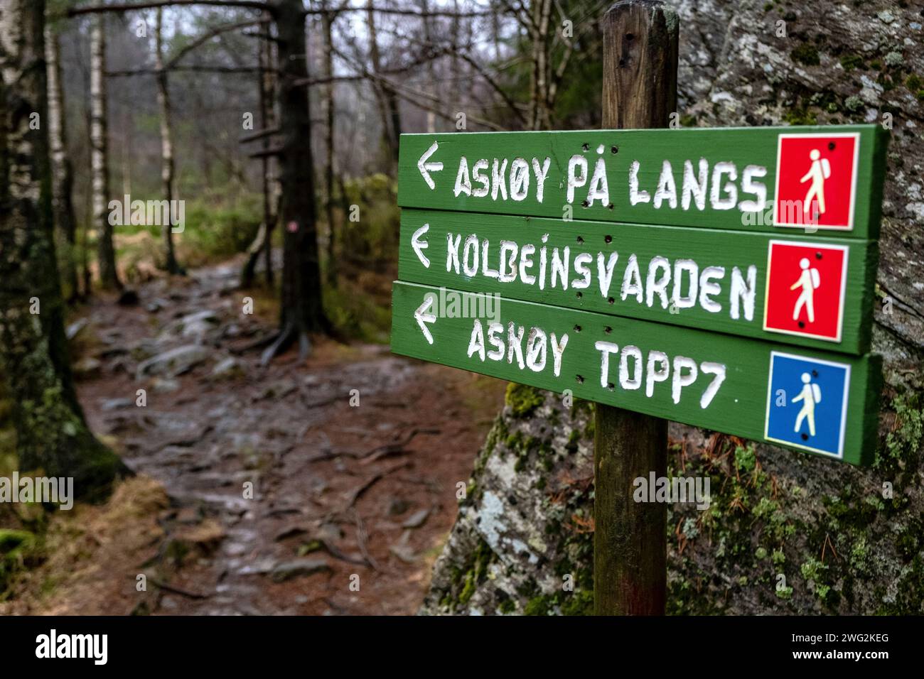 Schild zum Askøy på Langs Trail, einem Fernwanderweg über Ask Island, Bergen, Norwegen Stockfoto