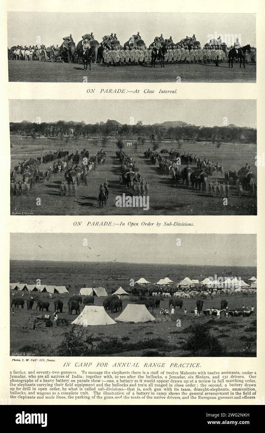 Vintage-Bild von Elefanten der britischen Indischen Armee Heavy Artillery Batterie, viktorianisch, Militärgeschichte 1890er 19. Jahrhundert Stockfoto