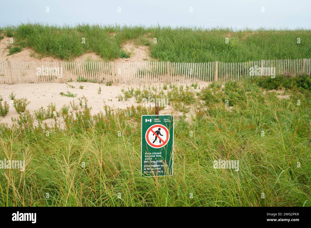 Schilder warnen Personen, sich vom Dünenbereich fernzuhalten, um das Strandgras zu schützen und Erosion zu verhindern. Stockfoto
