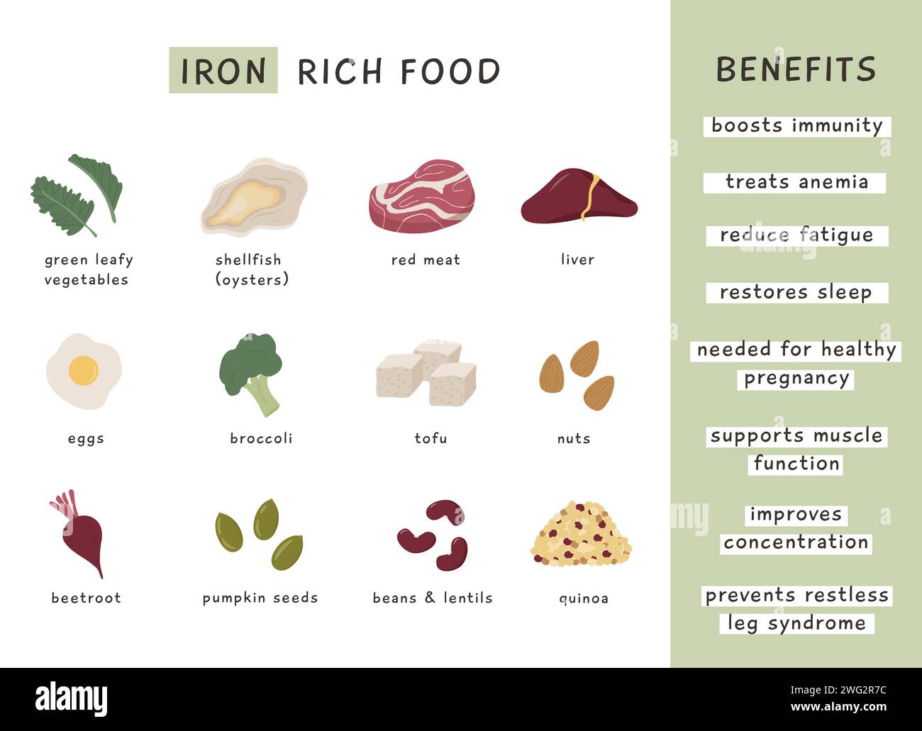 Eisenreiche Nahrungsquellen und Vorteile. Infografik-Poster für Ernährungswissenschaftler. Diätetische organische Ernährung. Informationskarte zu gesunden Produkten. Vektorillust Stock Vektor