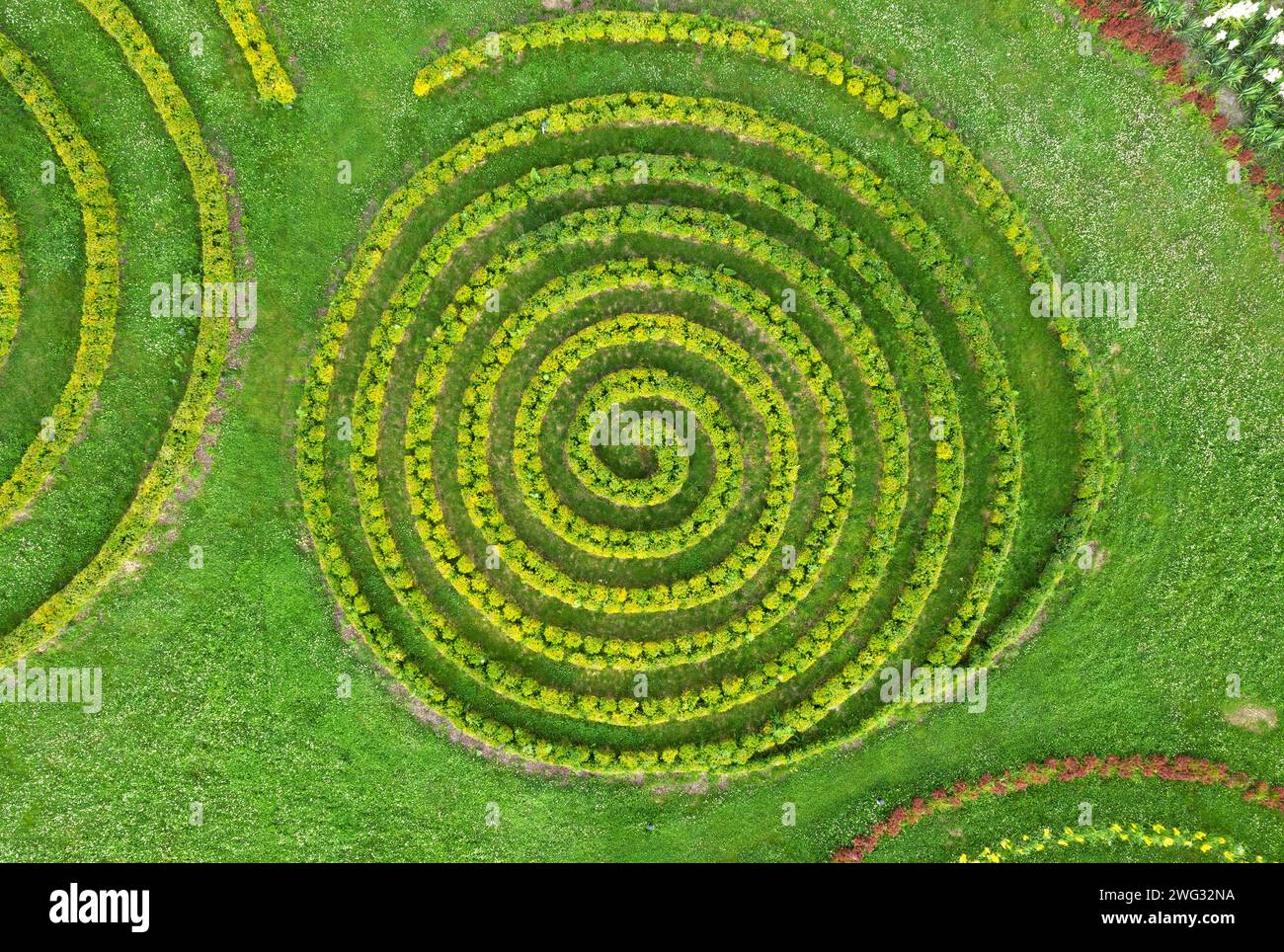 Blick aus der Vogelperspektive auf den wunderschönen Sommergarten mit grünem Rasen und Büschen in Form einer Spirale. Landschaftsdesign Stockfoto