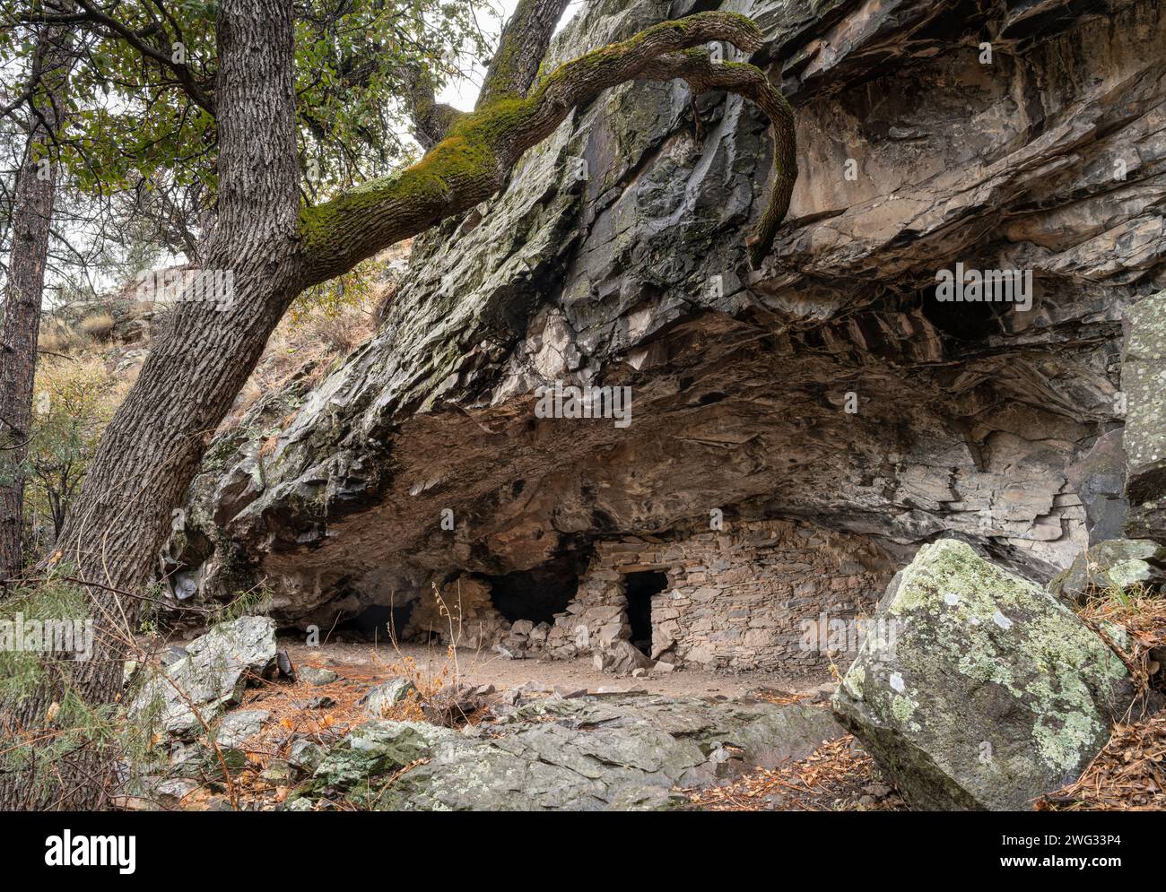 Eine Mogollon-Klippe in der Nähe des Gila Cliff Dwellings National Monument in New Mexico. Stockfoto