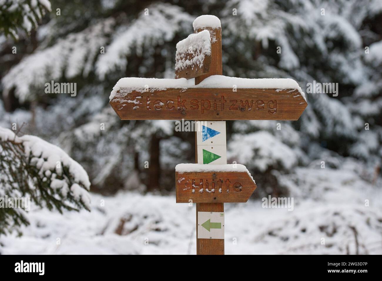 Im verschneiten Wald zeigt ein hölzerner, schneebedeckter Wegweiser mit den Aufschriften „Hütte“ und „Fleckenspitzweg“ Wanderern den richtigen Weg. Das Bild strahlt aus Stockfoto