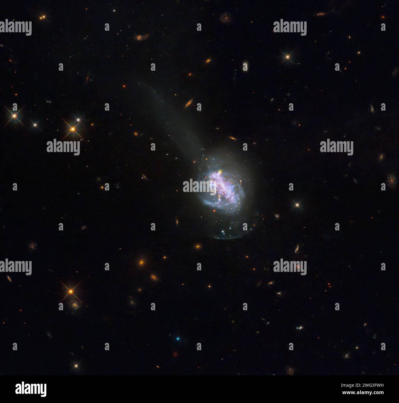 Großer Raum. Februar 2024. Die neue Aufnahme des Hubble-Weltraumteleskops der NASA zeigt die ESO 185-IG013, eine leuchtend blaue Kompaktgalaxie (BCG). BCGS sind nahe gelegene Galaxien, die einen intensiven Ausbruch der Sternentstehung zeigen. Sie sind im sichtbaren Licht ungewöhnlich blau, was sie von anderen Galaxien mit hoher Sternenhöhe unterscheidet, die mehr Infrarotlicht ausstrahlen. (Kreditbild: © NASA/ESA/ZUMA Press Wire) NUR REDAKTIONELLE VERWENDUNG! Nicht für kommerzielle ZWECKE! Stockfoto