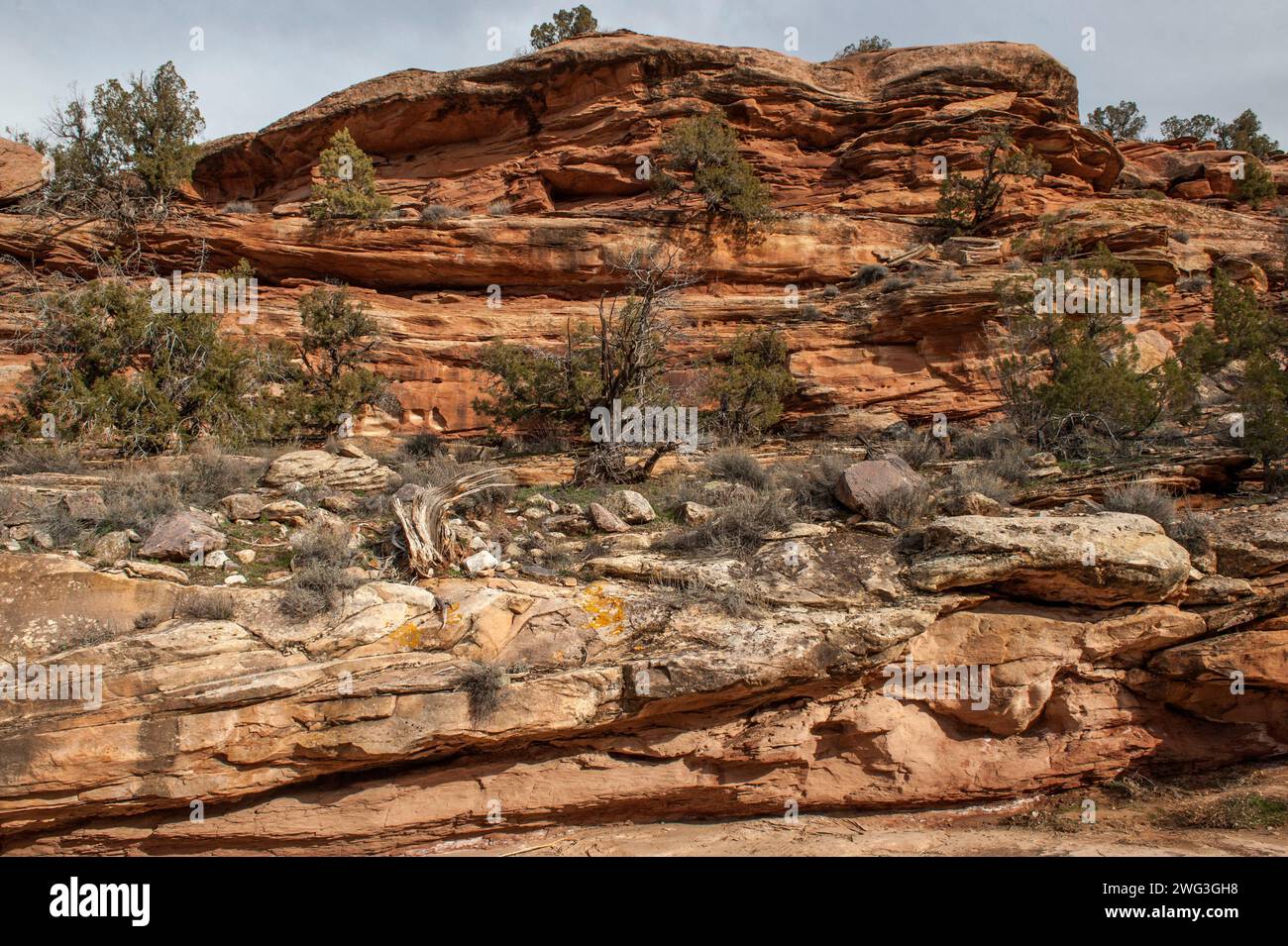 Erodierte Gesteinsschichten in der Seitenwand des Devil's Canyon bei Fruita, Colorado. Formation(en) unbekannt. Stockfoto