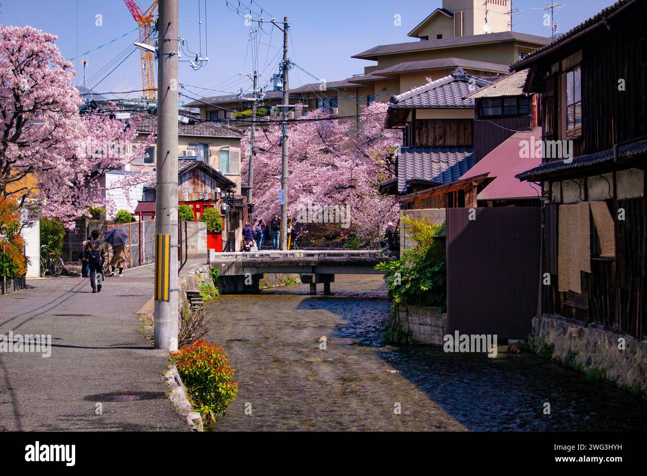 Shirakawa Lane, Kyoto, Japan Stockfoto