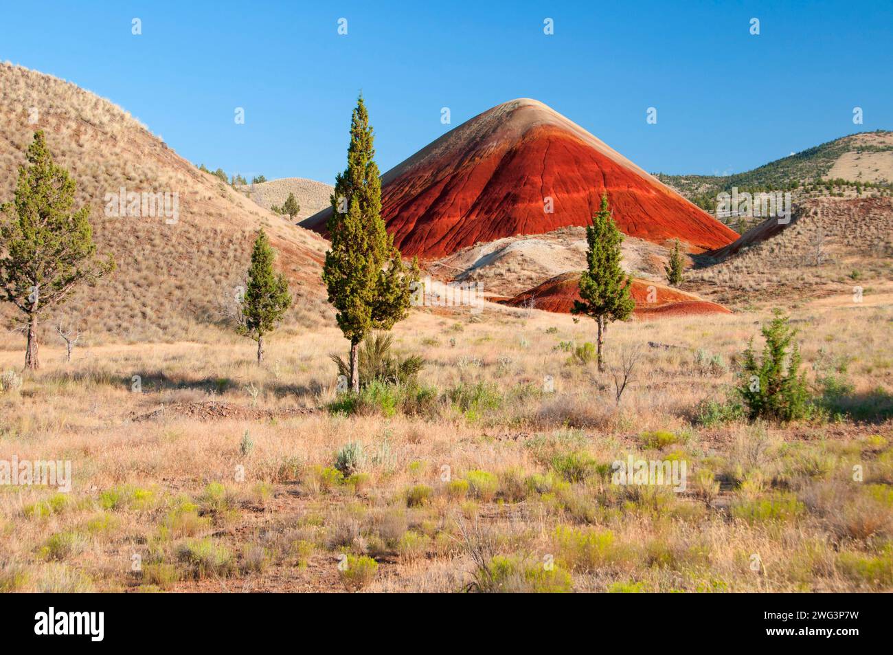 Red Hill, John Day Fossil Beds National Monument-Painted Hills Unit, Oregon Stockfoto